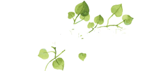 Codename Bavdhan 21 Logo Image